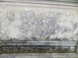 image of grave number 881742